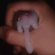 LeoBeluga