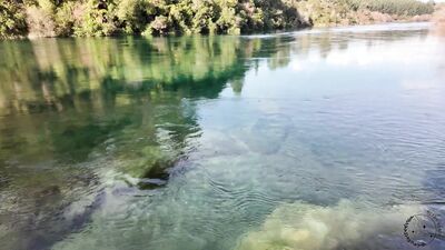 Taupo Vlog: Outdoor Exploration And Hot Sex
