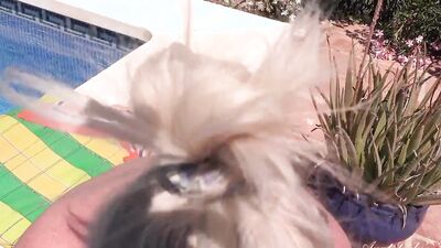 Aunt Judy's XXX - Meeting Hot Mature MILF Maggie Moon at the Hotel Pool (POV)