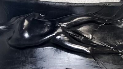 Helpless MILF in latex is being stimulated with a Hitachi magic wand
