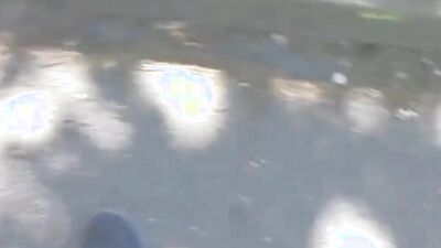 Close-up video shows a horny blonde taking cock up the asshole