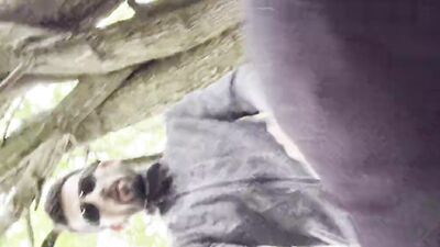 Anal on a Dog Walk Part2