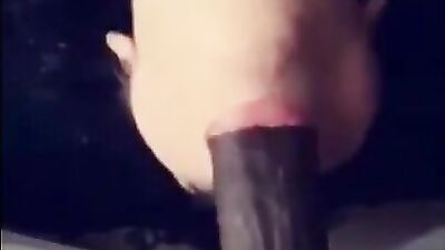 Cock hungry babes are giving mates a bj in a compilation