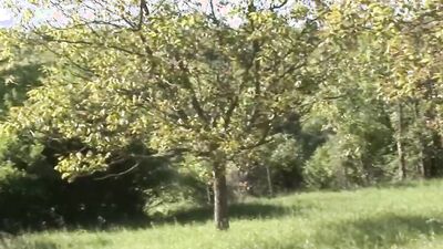 Amateur babe is getting fucked by her boyfriend out in the fields