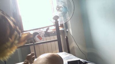 matura pelosa scopa con l'amico e fa un pompino al marito